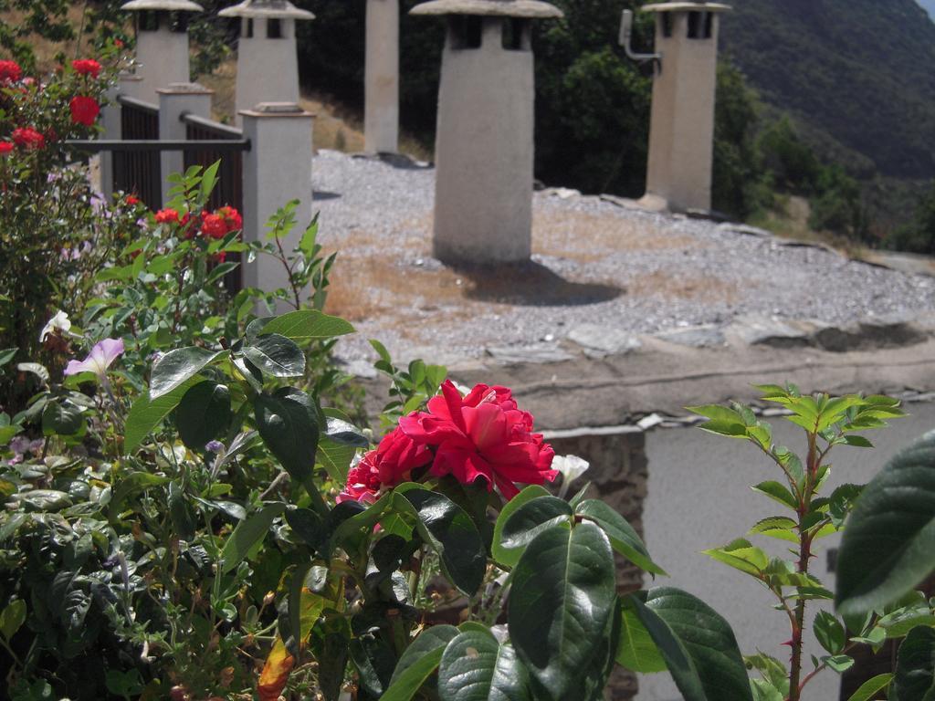 La Ermita Del Poqueira Apartment Bubión Екстериор снимка